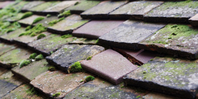 Llanfihangel Uwch Gwili roof repair costs